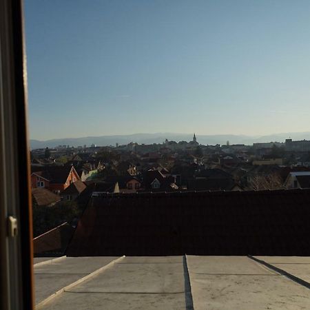 Pensiunea Flamingo Sibiu Bagian luar foto